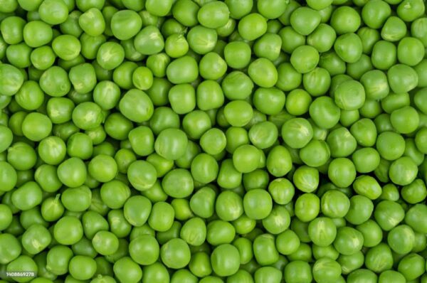 Pattani (Green Peas)